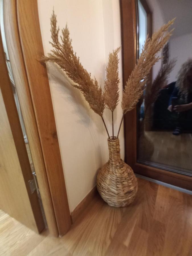 Zlatibor Apartman Luxury & Spa Dijana Exteriör bild