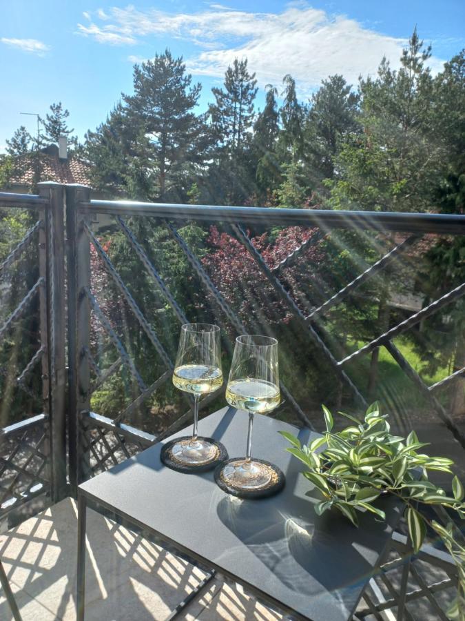 Zlatibor Apartman Luxury & Spa Dijana Exteriör bild